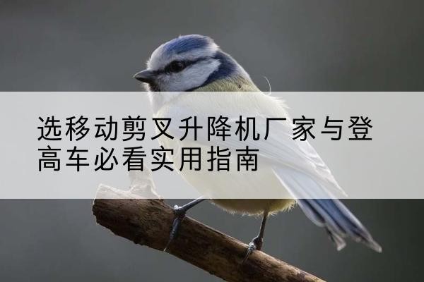 万安电动升降机厂家-选移动剪叉升降机厂家与登高车必看实用指南