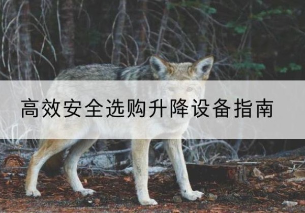 万安升降货梯厂家推荐-*安全选购升降设备指南